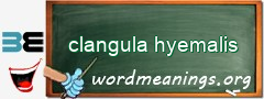 WordMeaning blackboard for clangula hyemalis